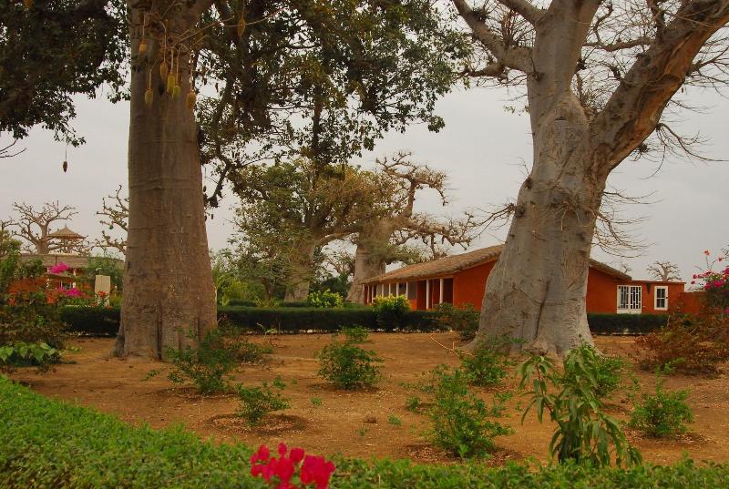 Baobab Soleil image