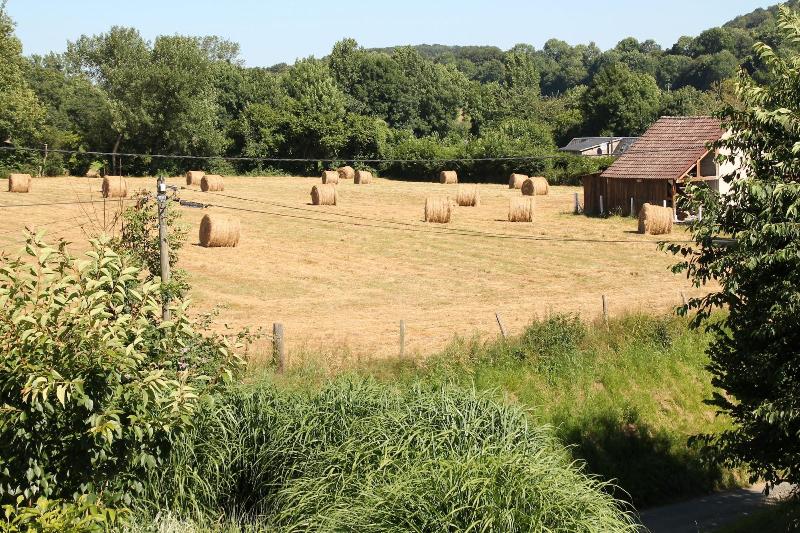 Le Haut Mesnil - 5 image