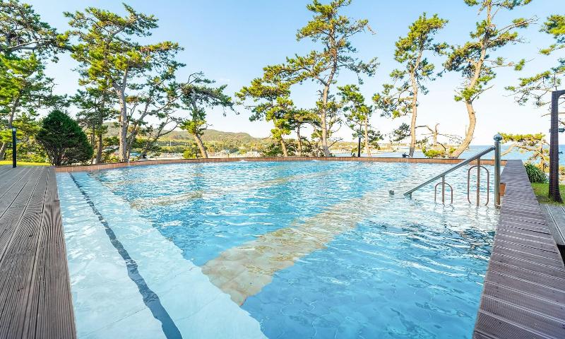 Pohang Pinewave Sea & Spa Pension image