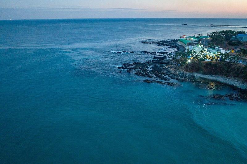 Pohang Pinewave Sea & Spa Pension image
