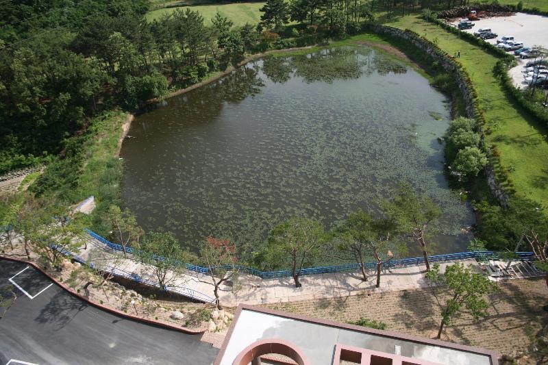 Dongbusan Oncheon Hotel image