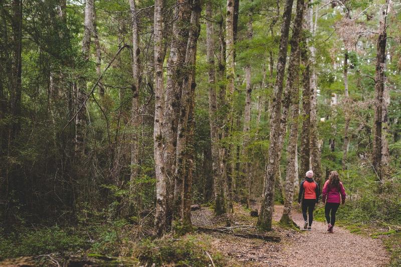 Lone Moose Backpackers — photo 3