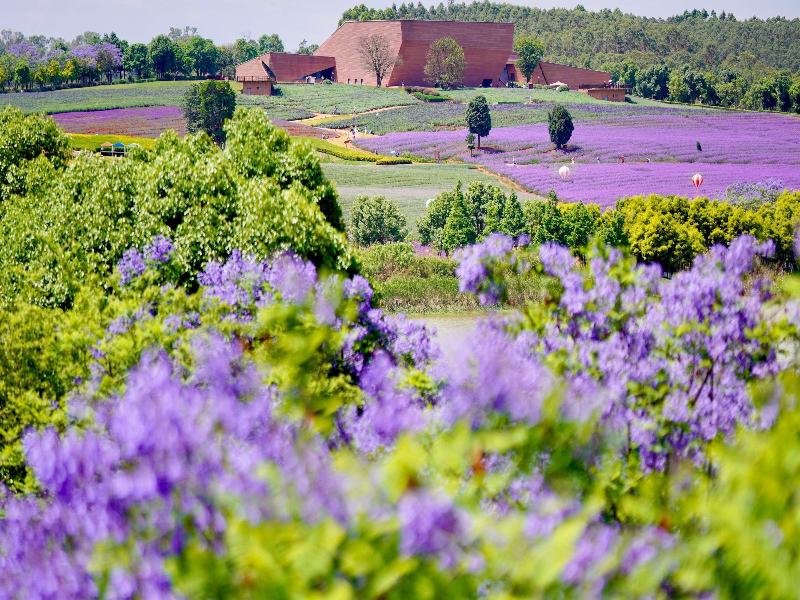 DongFengYun Hotel Mi'Le-MGallery Collection image