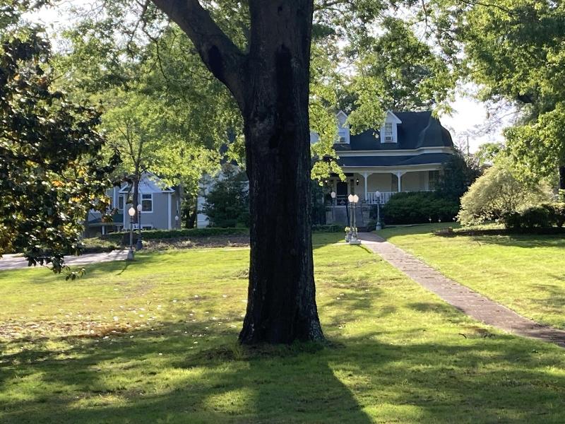 Rose House Inn image