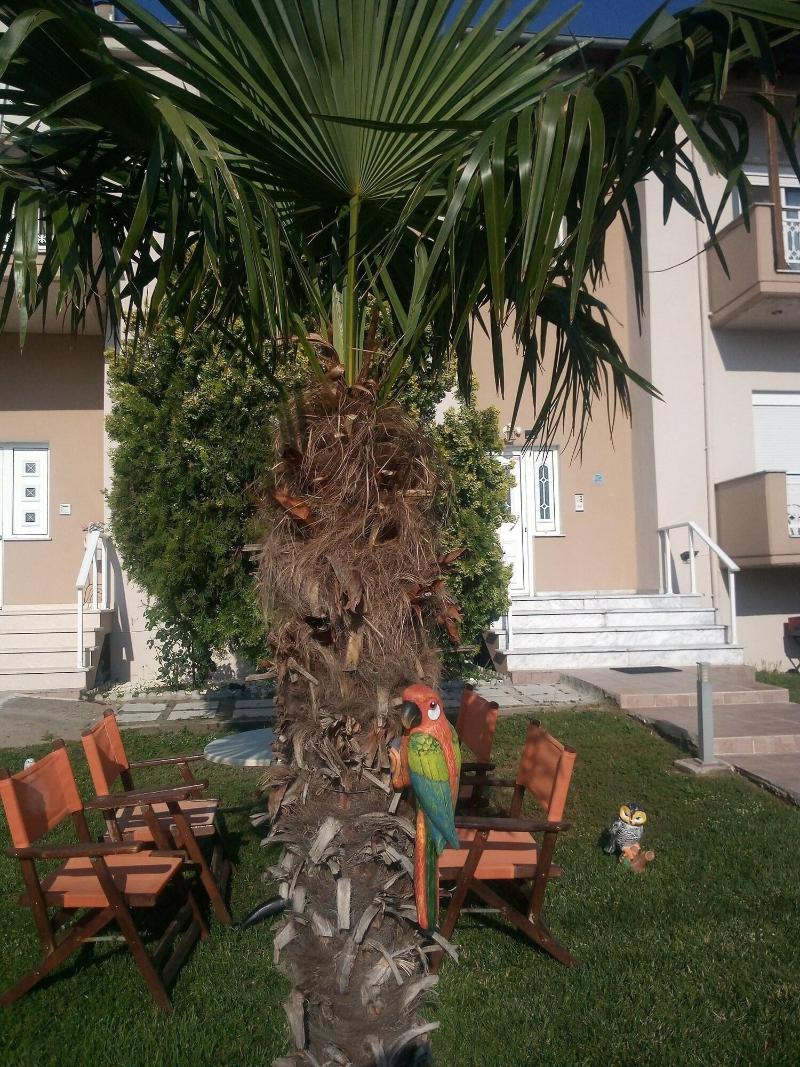 Hotel La Strada