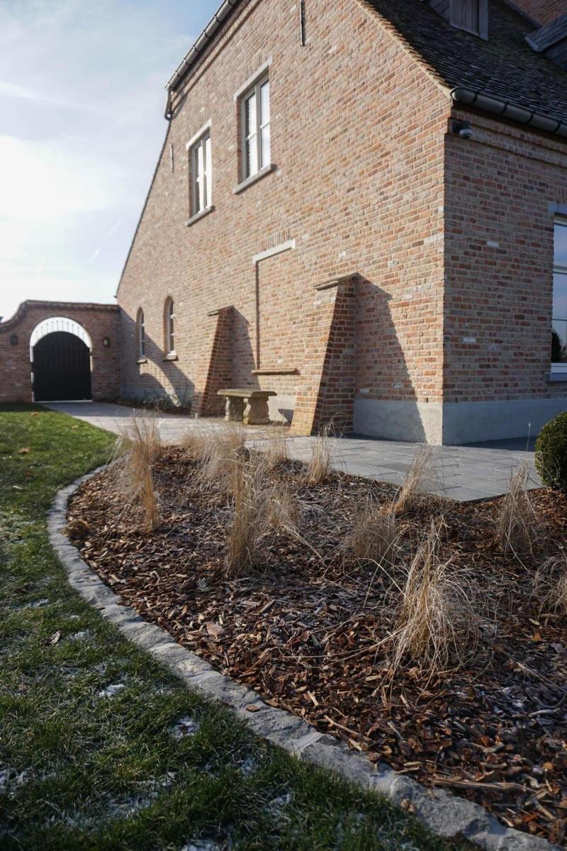 De Brakelhoen image