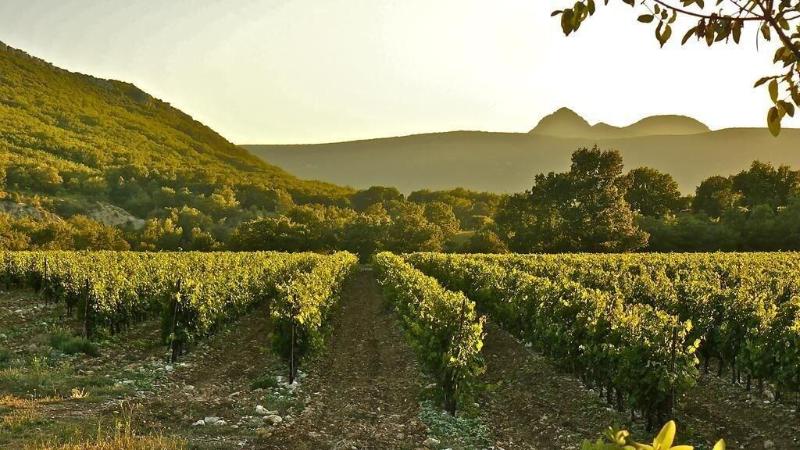 Domaine De Blancardy image
