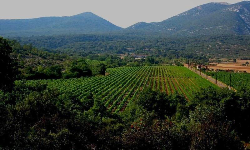 Domaine De Blancardy image