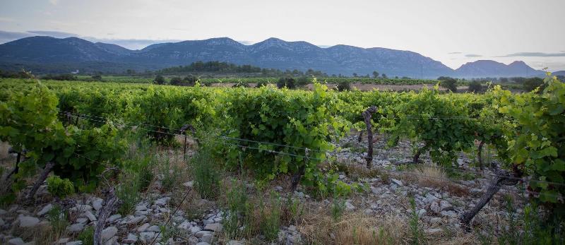 Domaine De Blancardy image