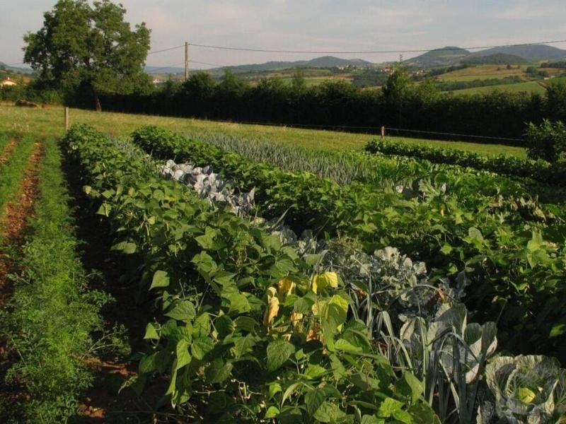 La Ferme Du Chapi image