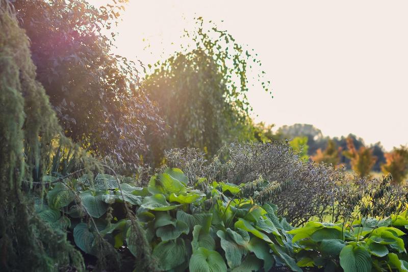 Eco Nieborów