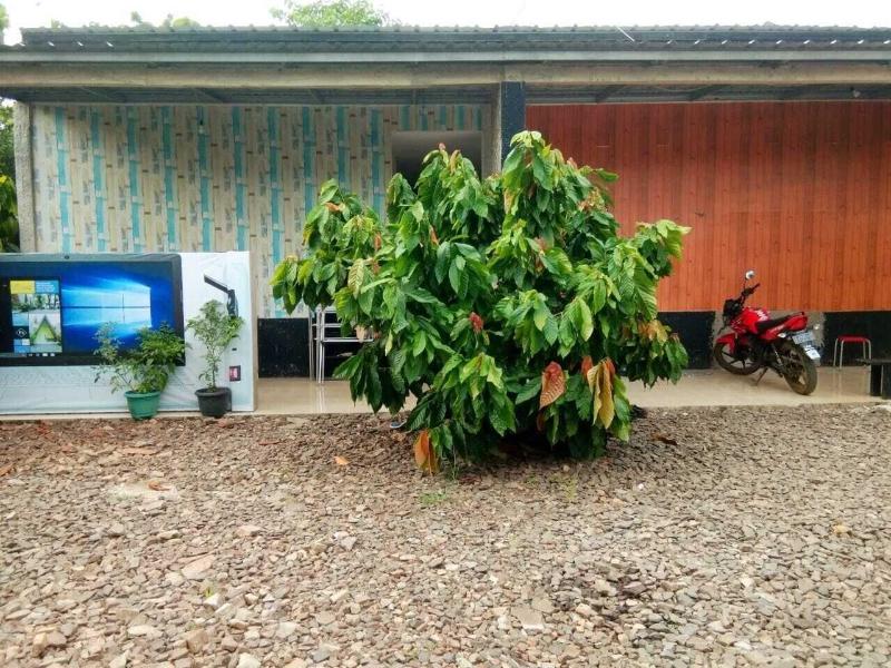 Penginapan Bunar Tunggal image