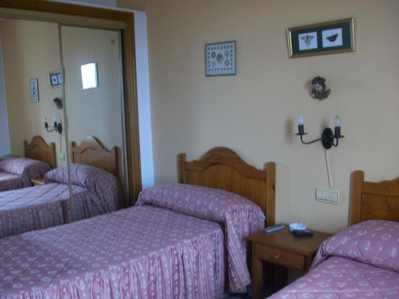 Hostal Goya Ii image