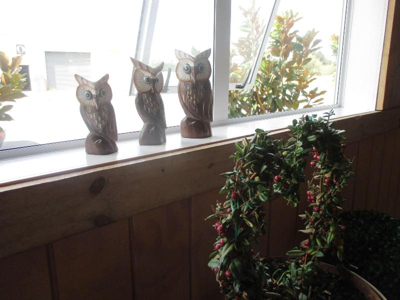Owls Nest Motel image