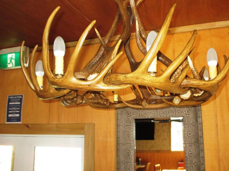Owls Nest Motel image