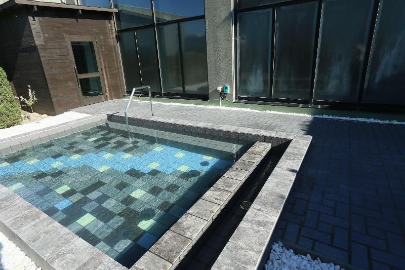 Tokachi Nauman Onsen Hotel Arco image 5