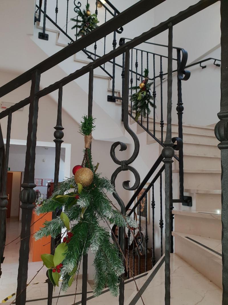 Guesthouse Bistra image