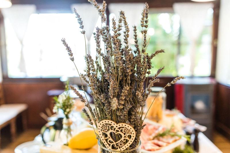 Guesthouse Bistra image