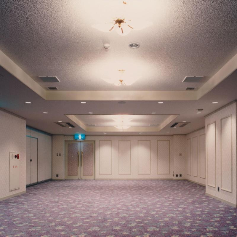 Harbor Plaza Hotel image