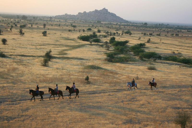Mihir Garh