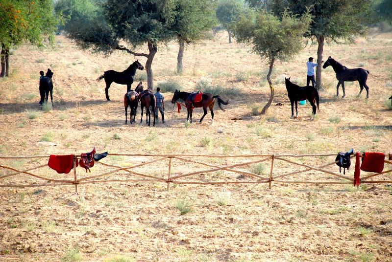 Mihir Garh