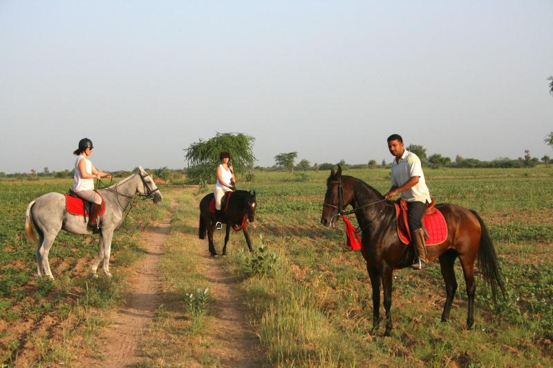 Mihir Garh