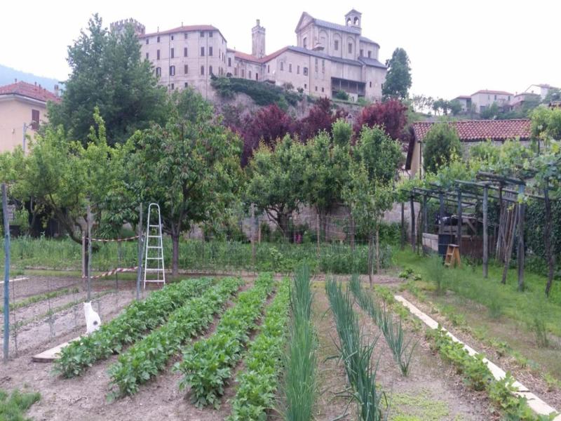 B&B Abbadia image