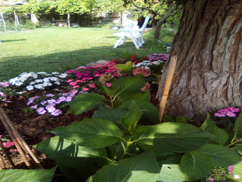 B&B Abbadia image