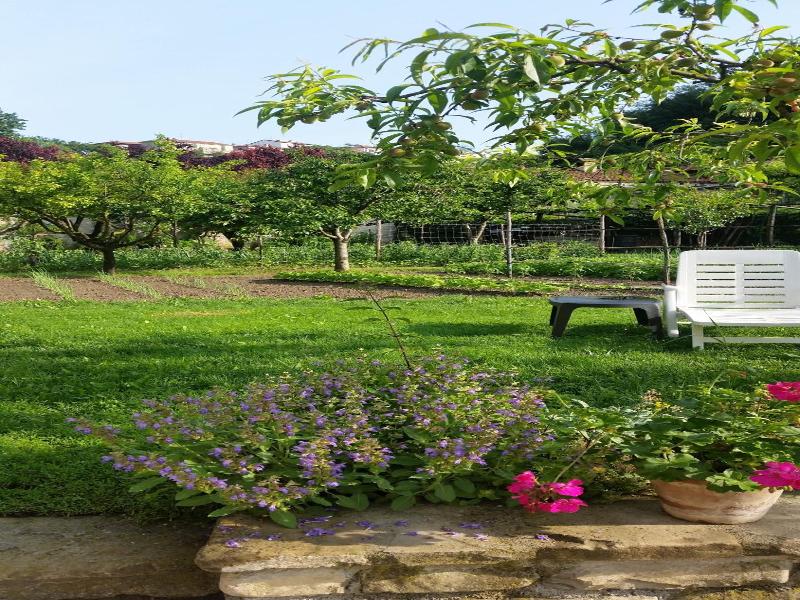 B&B Abbadia image