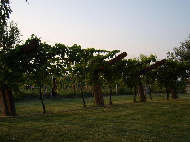 L'Antico Casale dei Sogni image