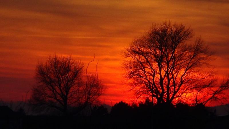 L'Antico Casale dei Sogni image