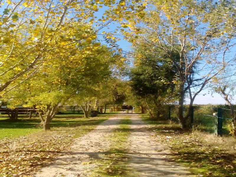L'Antico Casale dei Sogni image