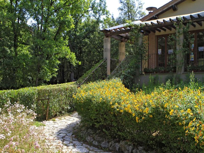 Camping Il Boschetto Di Piemma image