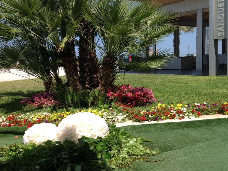 Hotel Serenella image