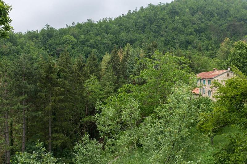 Agriturismo Antico Frutto image