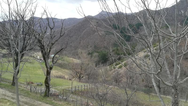 Agriturismo Antico Frutto image