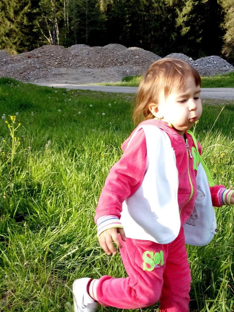 Pensiunea Cabana Sestina