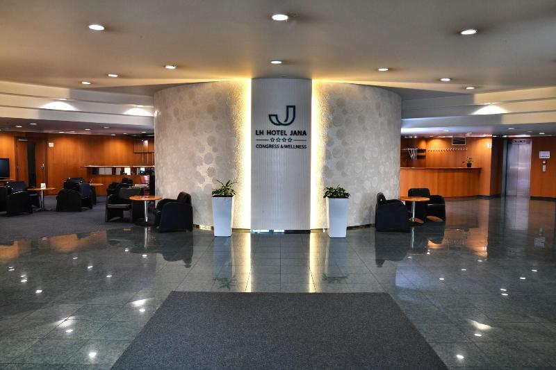 Hotel Jana image