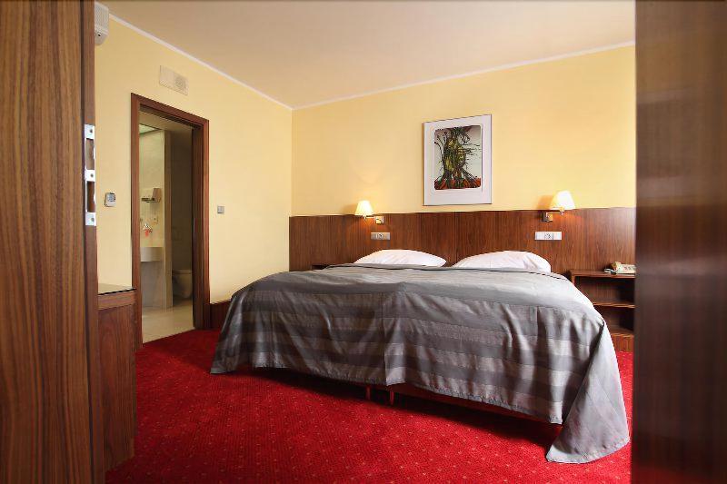 Hotel Jana image