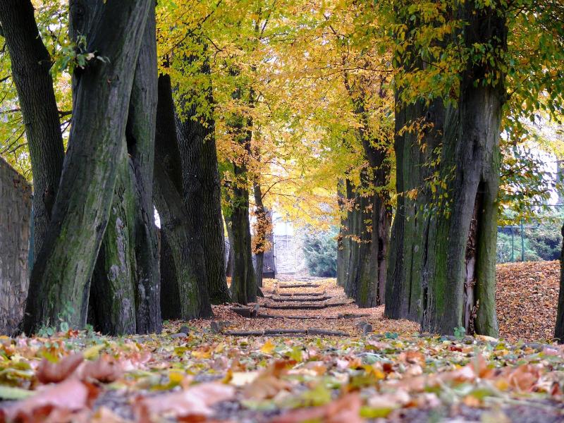 Dwór Zbożenna image
