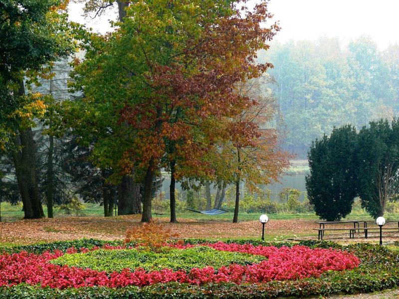 Dwór Zbożenna image