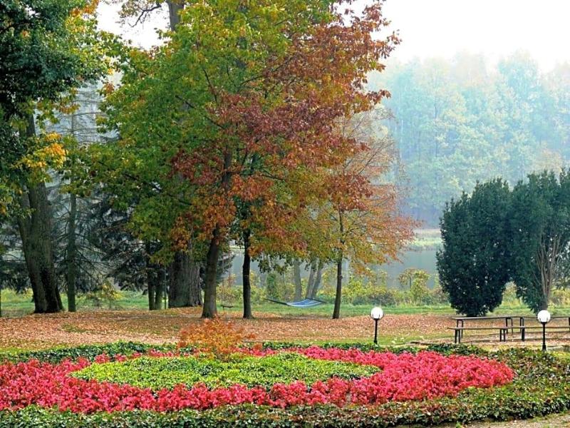 Dwór Zbożenna image