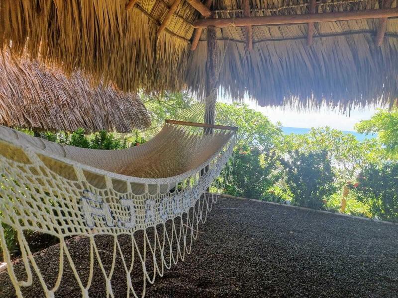 Hotel Los Mangos image