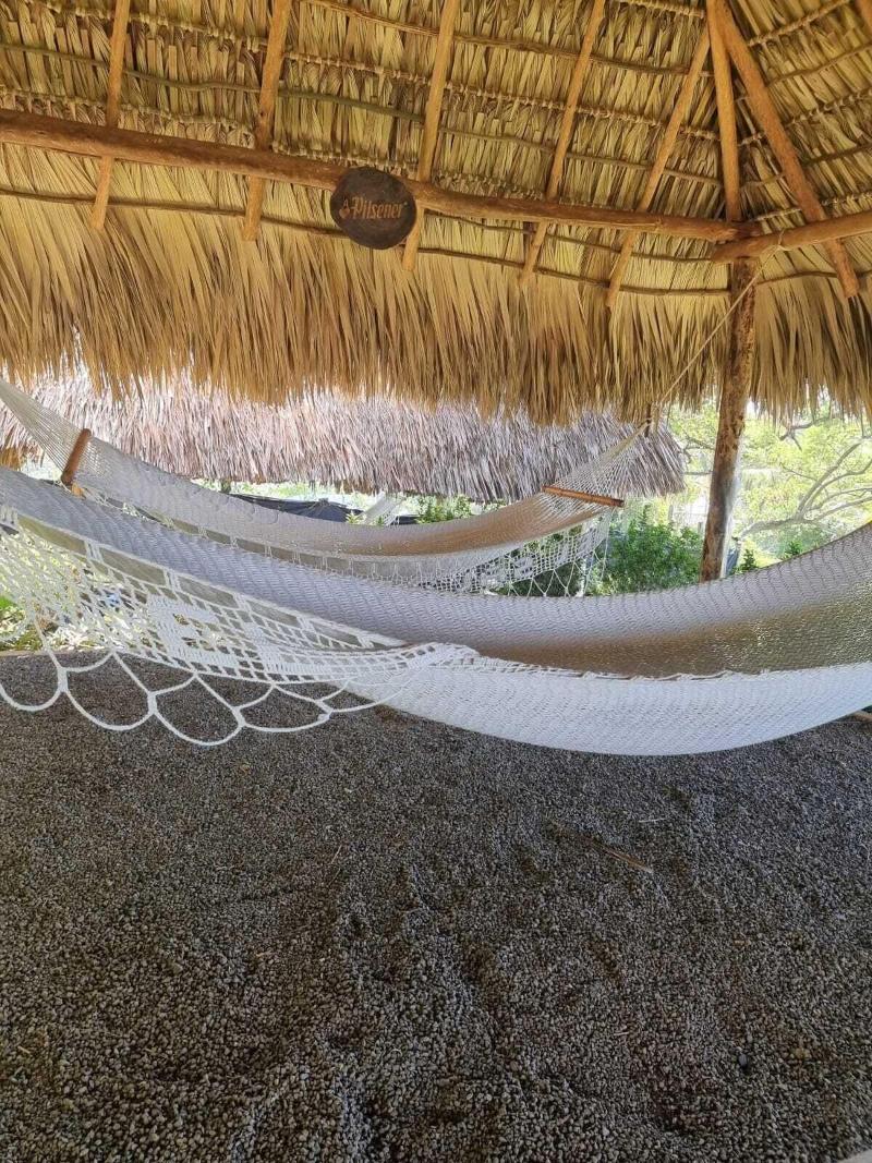 Hotel Los Mangos image