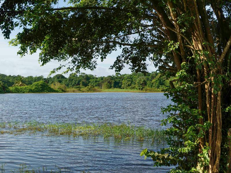 Hotel Mercure Kourou Ariatel image
