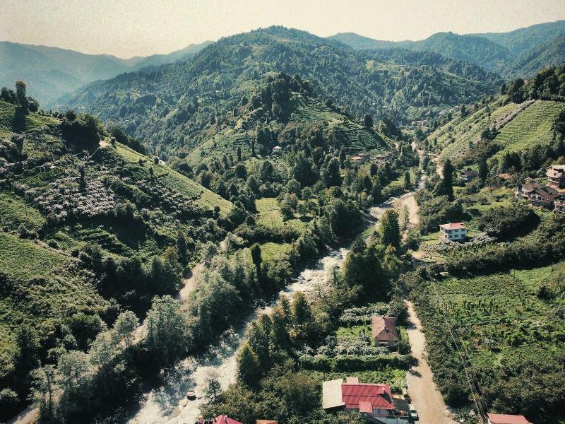 Sana Yasam Koyu image