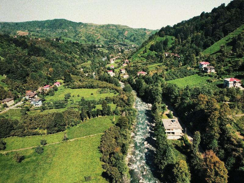 Sana Yasam Koyu image