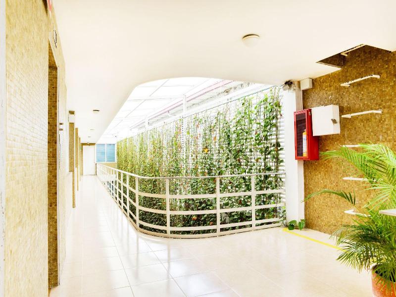 Hotel Thama Palmira image