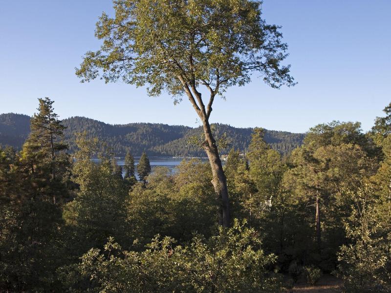 Ucla Lake Arrowhead Lodge image