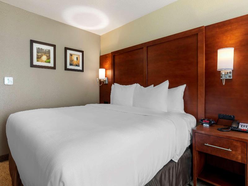 Comfort Inn & Suites Euless Dfw West image